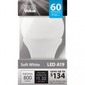 Great Value LED Light Bulb