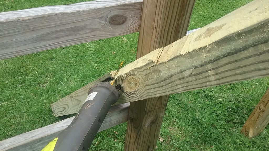 How To Build A Gaga Ball Pit For Under 300 Action Economics