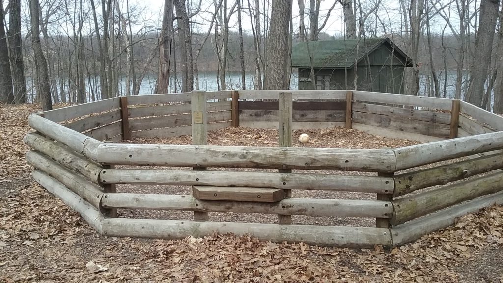 How To Build A Gaga Ball Pit For Under 300 Action Economics