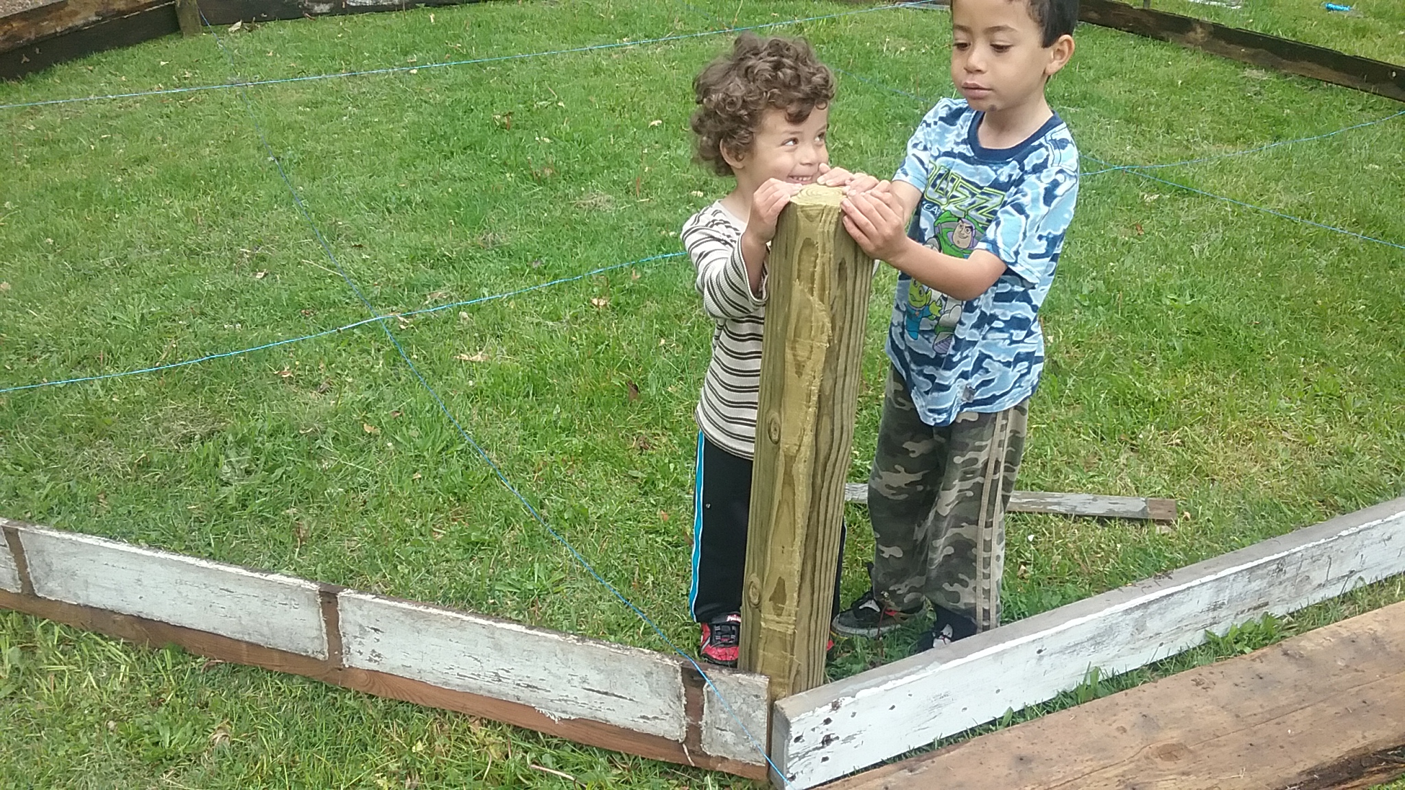 How To Build A Gaga Ball Pit For Under 300 Action Economics