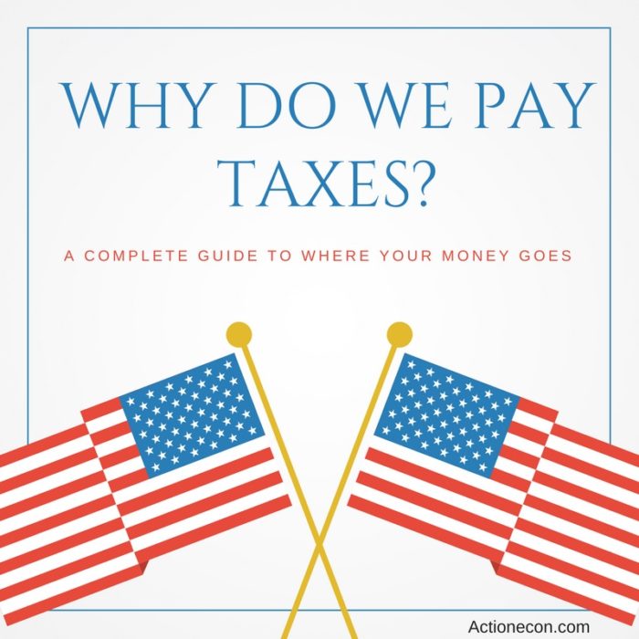 why-do-we-pay-taxes-a-complete-guide-action-economics