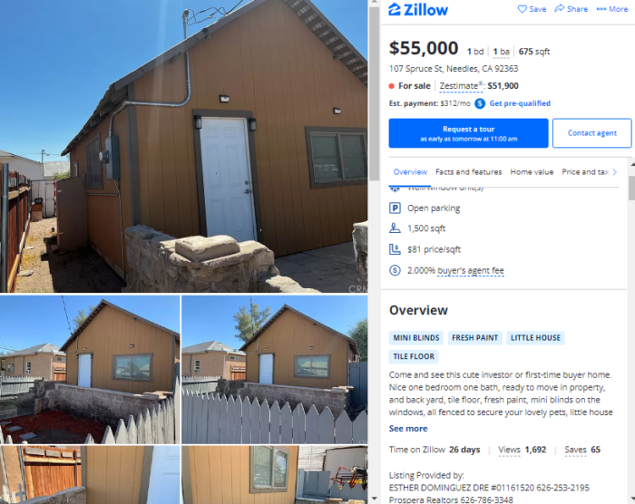 Move In Ready Houses For Under 60,000 In Todays Market! Action Economics